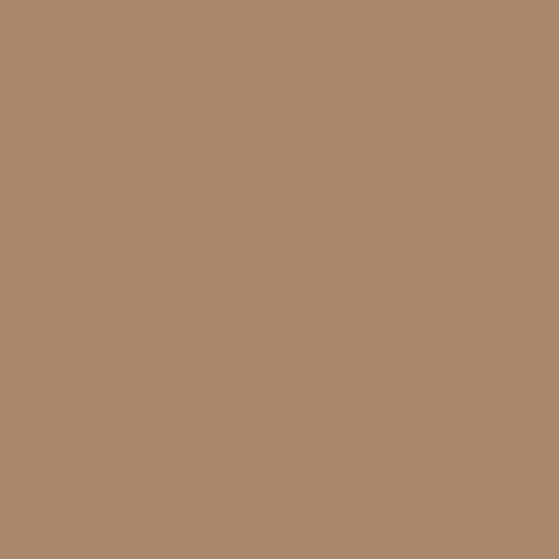 HC-46 Jackson Tan - Paint Color | Empire Paint u0026 Supply LLC